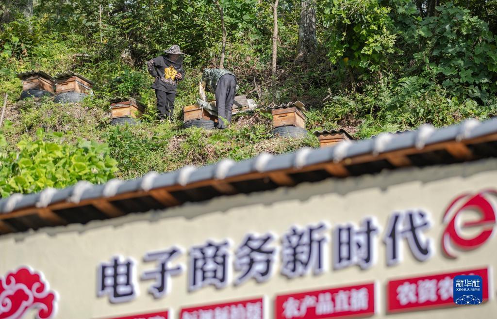 大满贯官方网